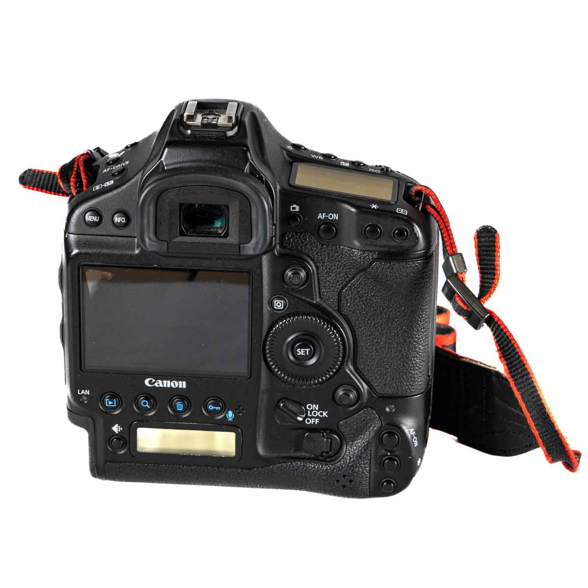 Canon EOS-1D X - 133.800 scatti - Usato