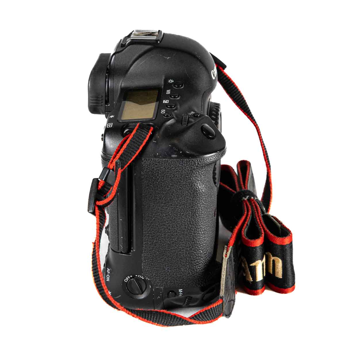 Canon EOS-1D X - 133.800 scatti - Usato