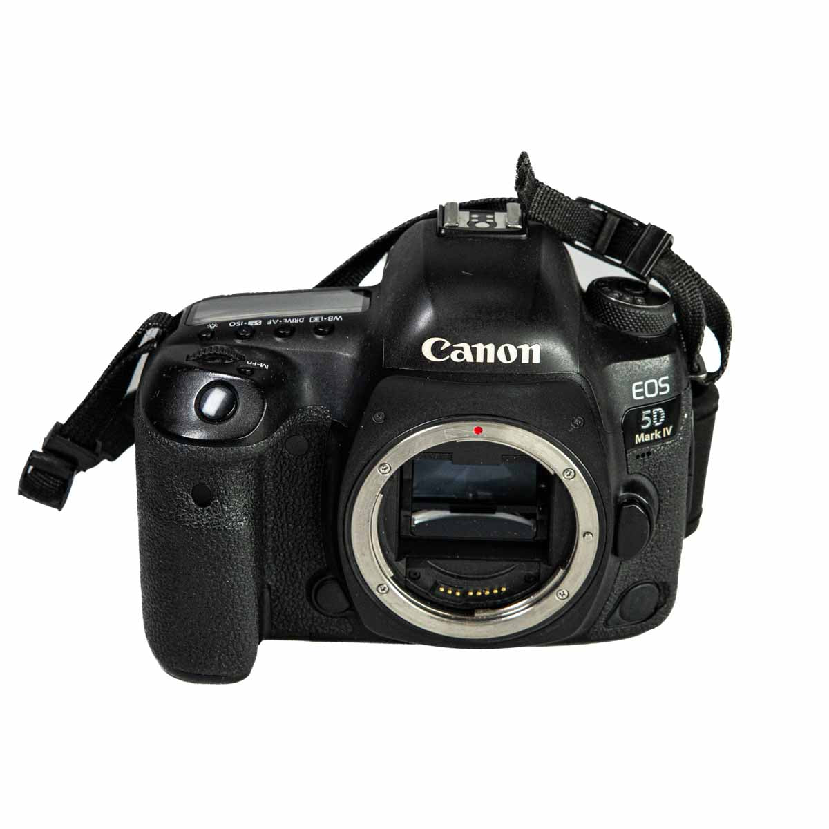 Canon EOS 5D Mark IV - 49.300 scatti - Usato