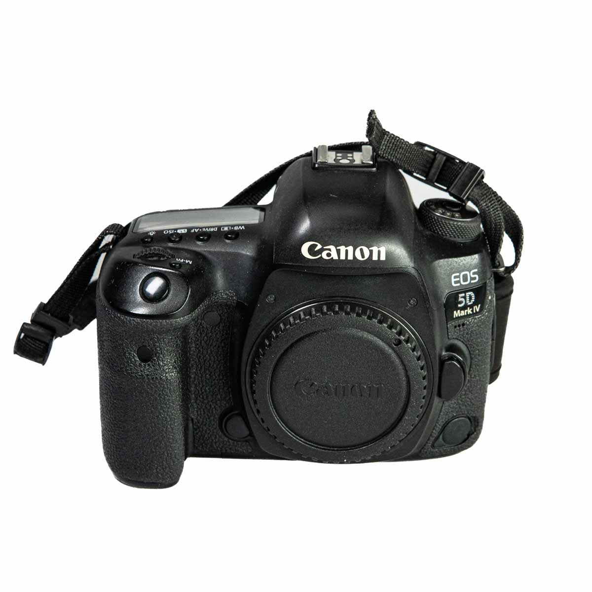 Canon EOS 5D Mark IV - 49.300 scatti - Usato