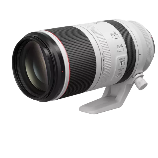 Canon RF 100-500mm f/4.5-7.1 L IS USM