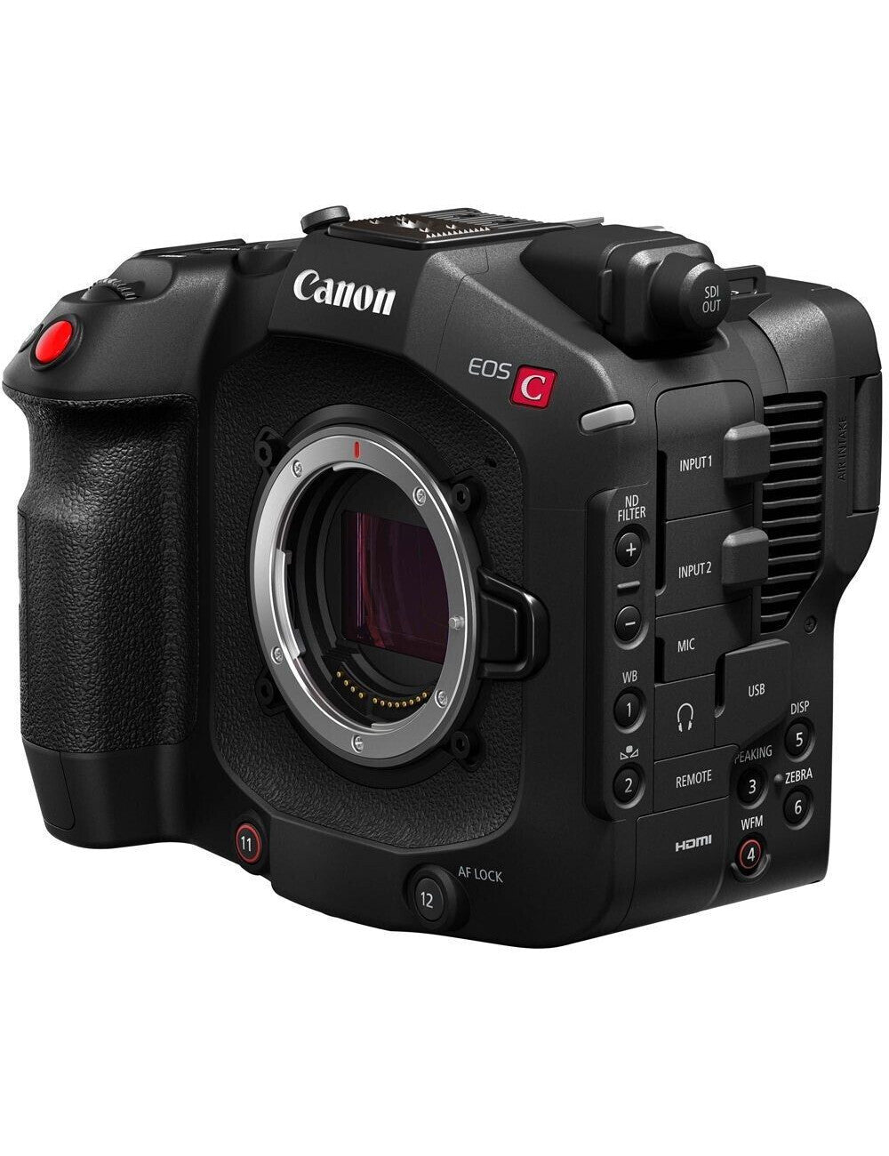 Canon EOS C80