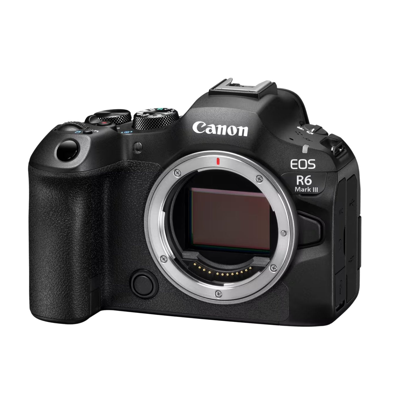 Novità - Canon EOS R6 Mark III