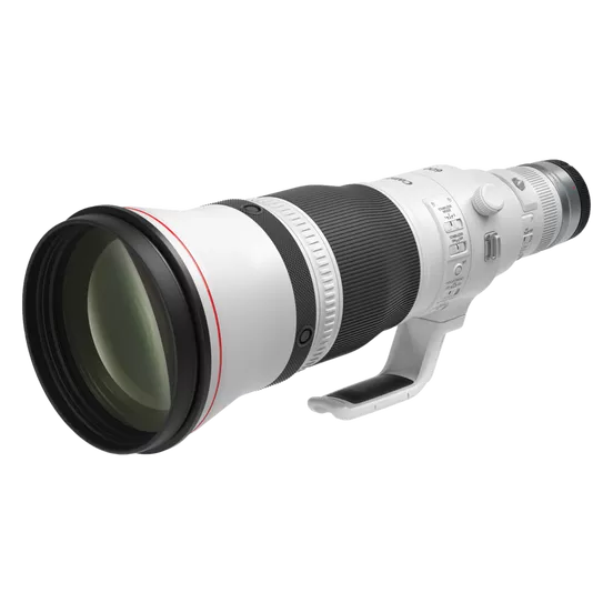 Canon RF 600mm f/4L IS USM