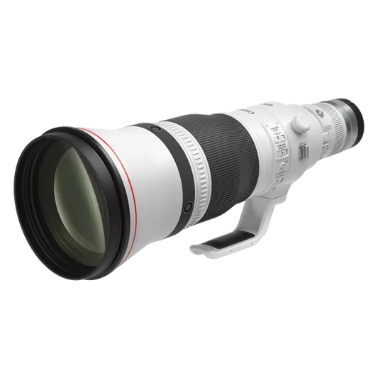 Canon RF 600mm f/4L IS USM