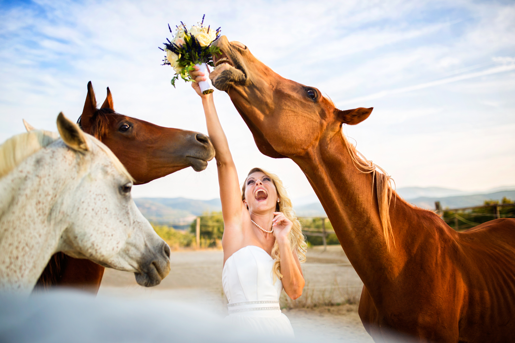 Свадьба с животными